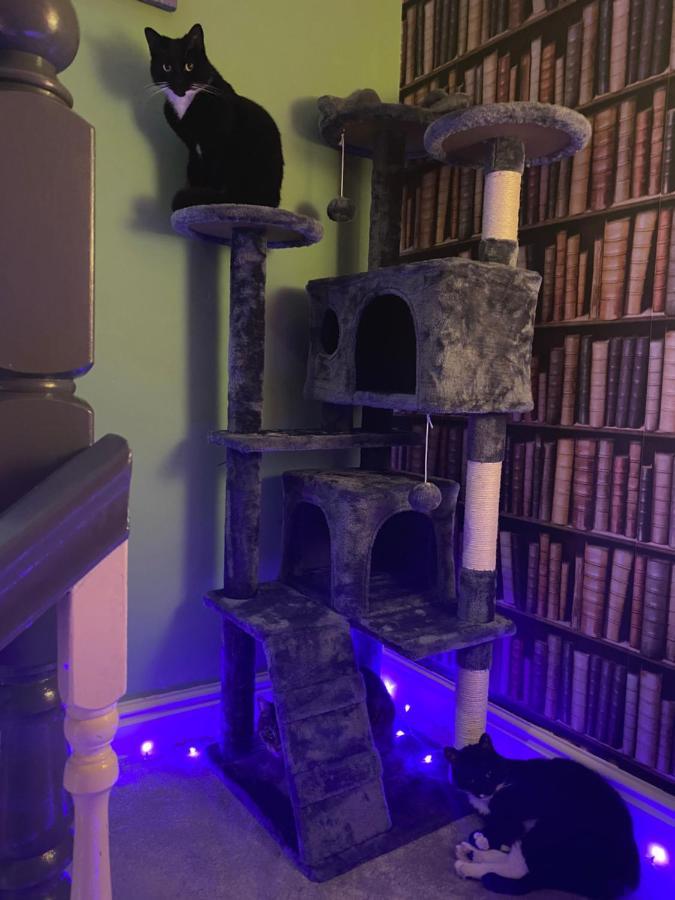 Tuebrook Towers 호텔 리버풀 외부 사진